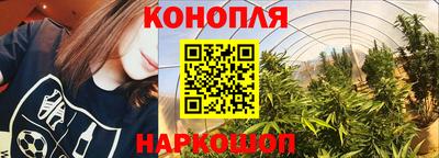 крисы Волжский