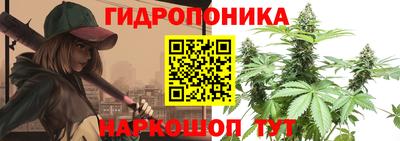 крисы Волжский