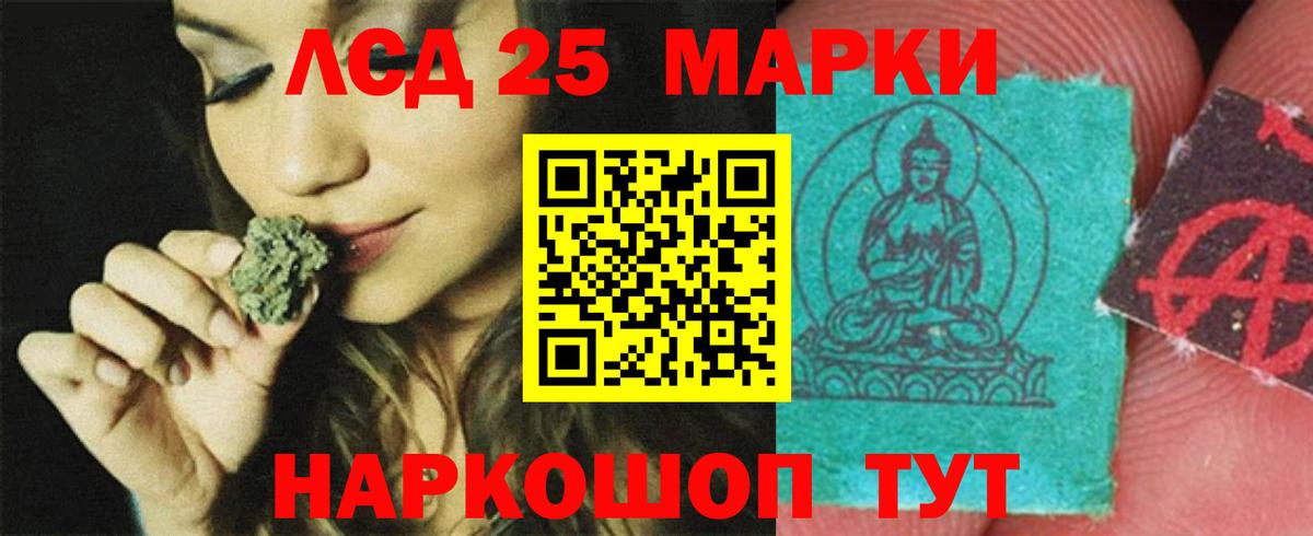 Альфа ПВП Кириши