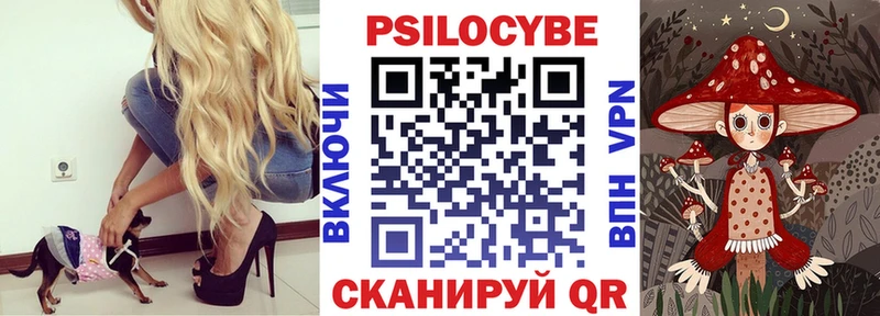 MEGA зеркало  Кириши  Псилоцибиновые грибы Psilocybe 