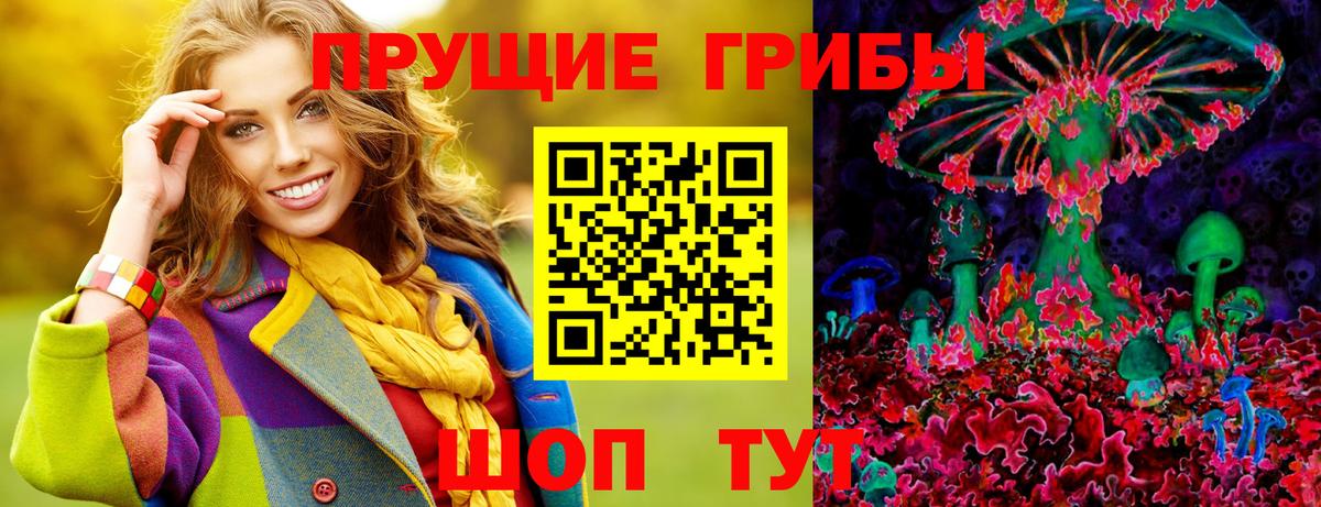 Кириши  купить наркотики цена  Вход с VPN  Галлюциногенные грибы ЛСД  Галлюциногенные грибы Cubensis 