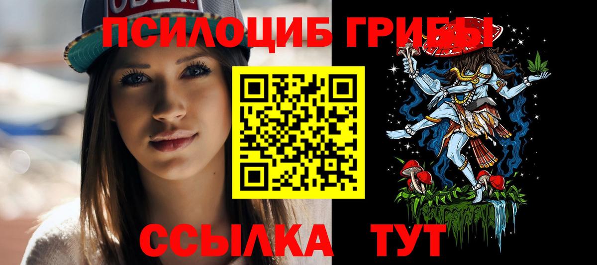 Галлюциногенные грибы прущие грибы  Кириши 