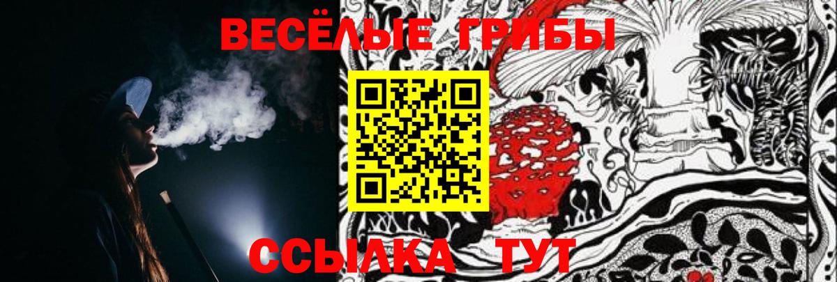 Галлюциногенные грибы Psilocybe Кириши