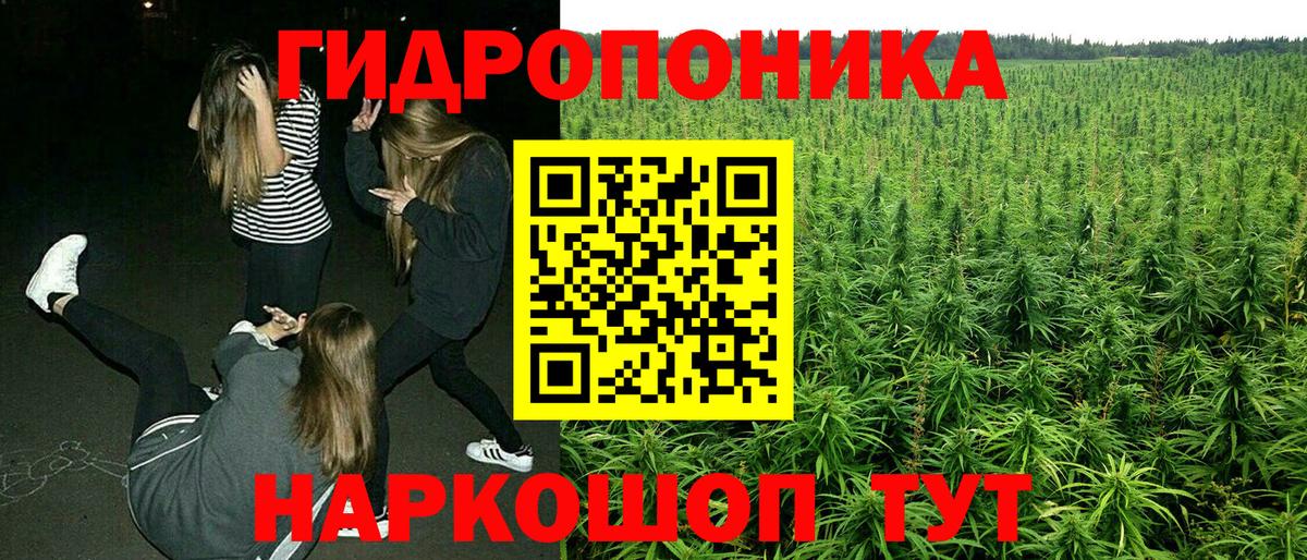 Конопля сатива  Шишки марихуана LSD WEED  Кириши  Конопля сатива 