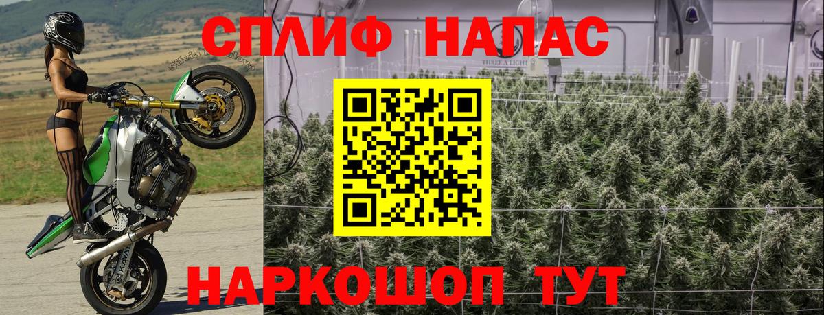 МАРИХУАНА Bruce Banner Кириши